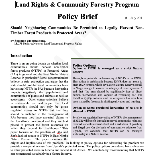 13+ Free Policy Brief Templates & Examples [Word, DOC, PDF] Templates Art